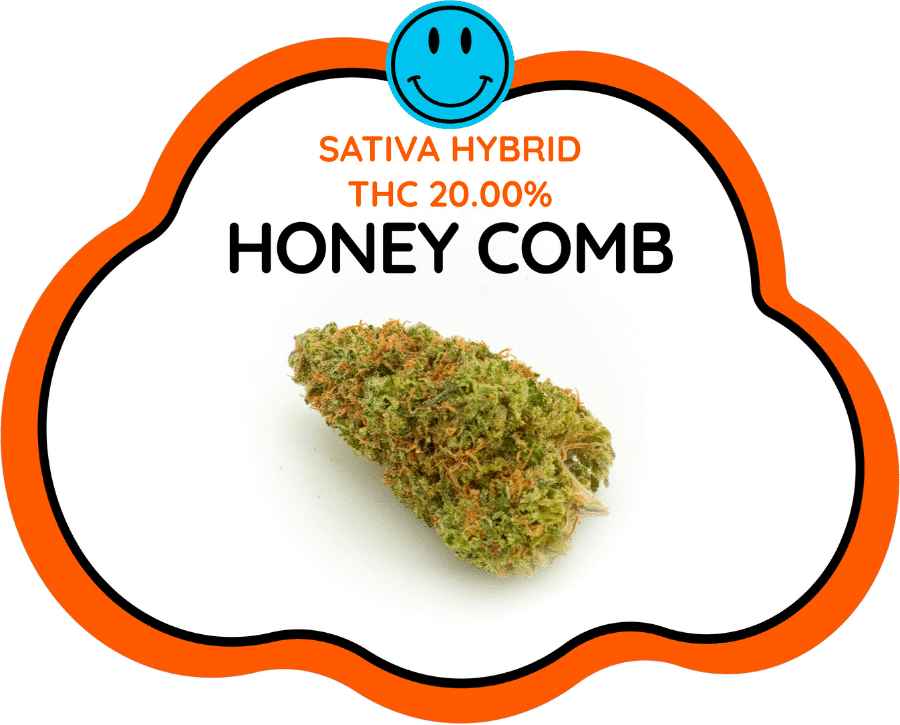 Honey Comb Cloud Nine Thailand