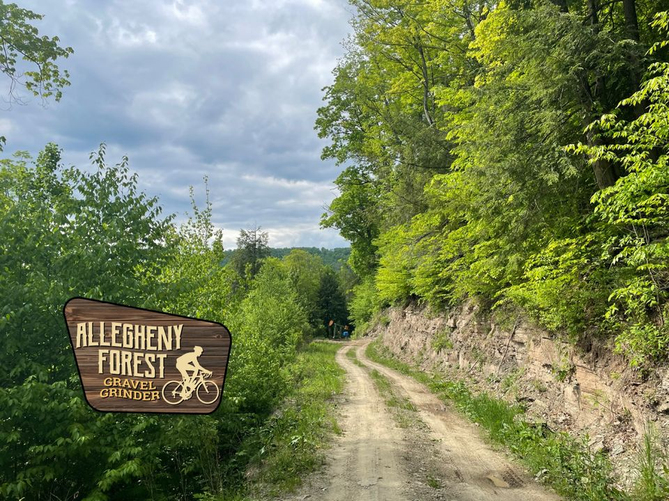 Allegheny Forest Gravel Grinder