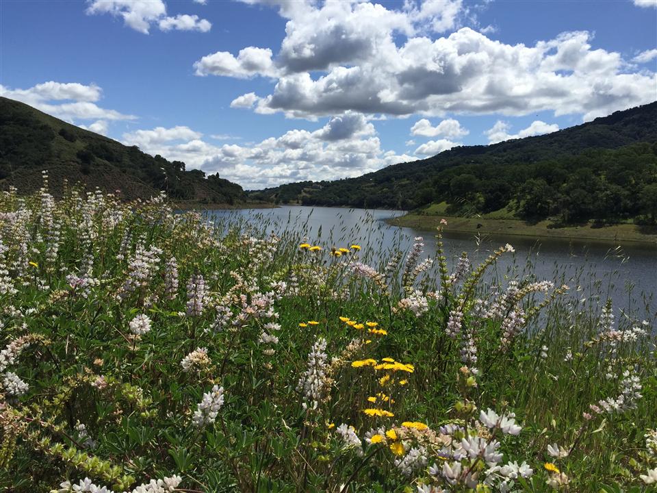 Tierra Bella Bicycle Tour