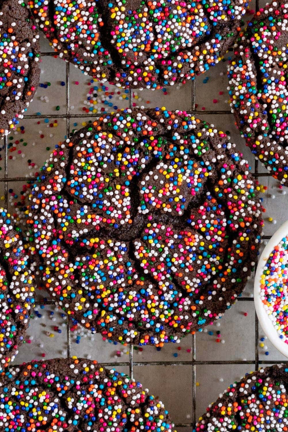 Chocolate Sprinkle Sugar Cookies Cloudy Kitchen