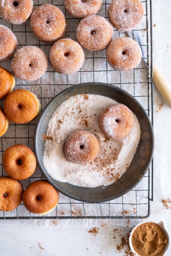 Homemade Mini Donuts (+ Video Tutorial) Cloudy Kitchen