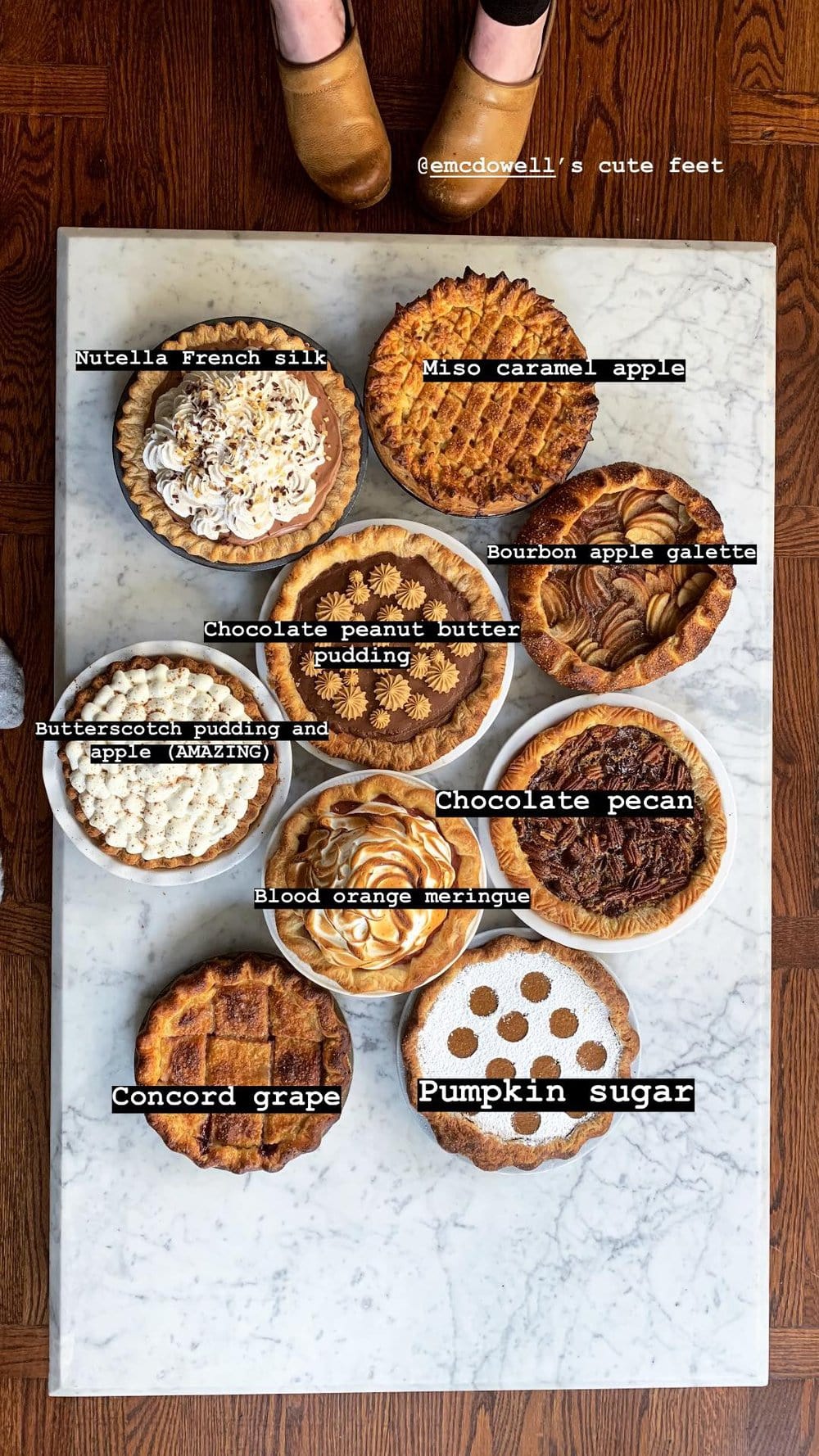 Nine of the best Thanksgiving Pies Cloudy Kitchen