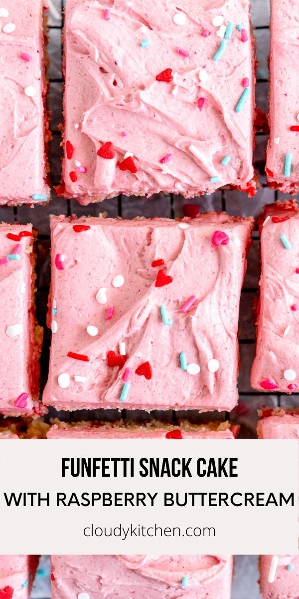 Funfetti Snack Cake with Raspberry Buttercream Cloudy Kitchen