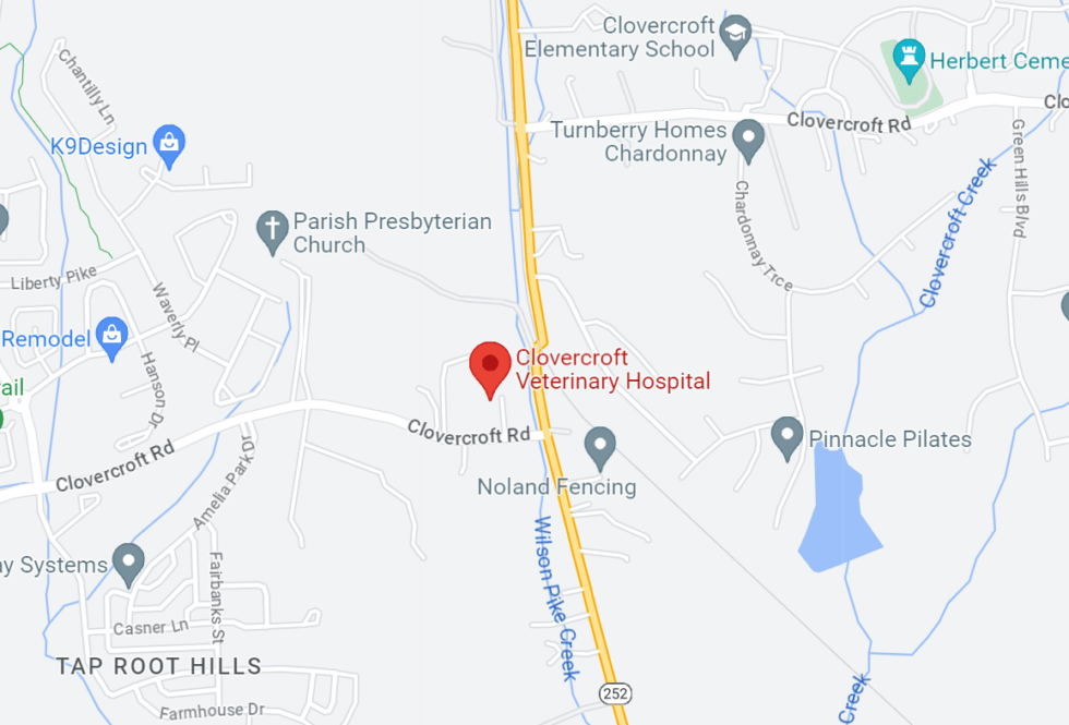 Best Vet Hospital In Franklin, TN Clovercroft Veterinary