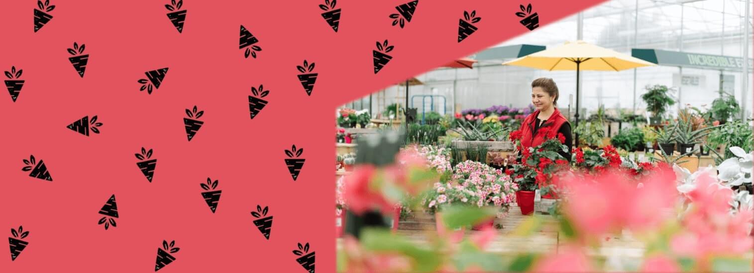 Home Cloverdale Country Market