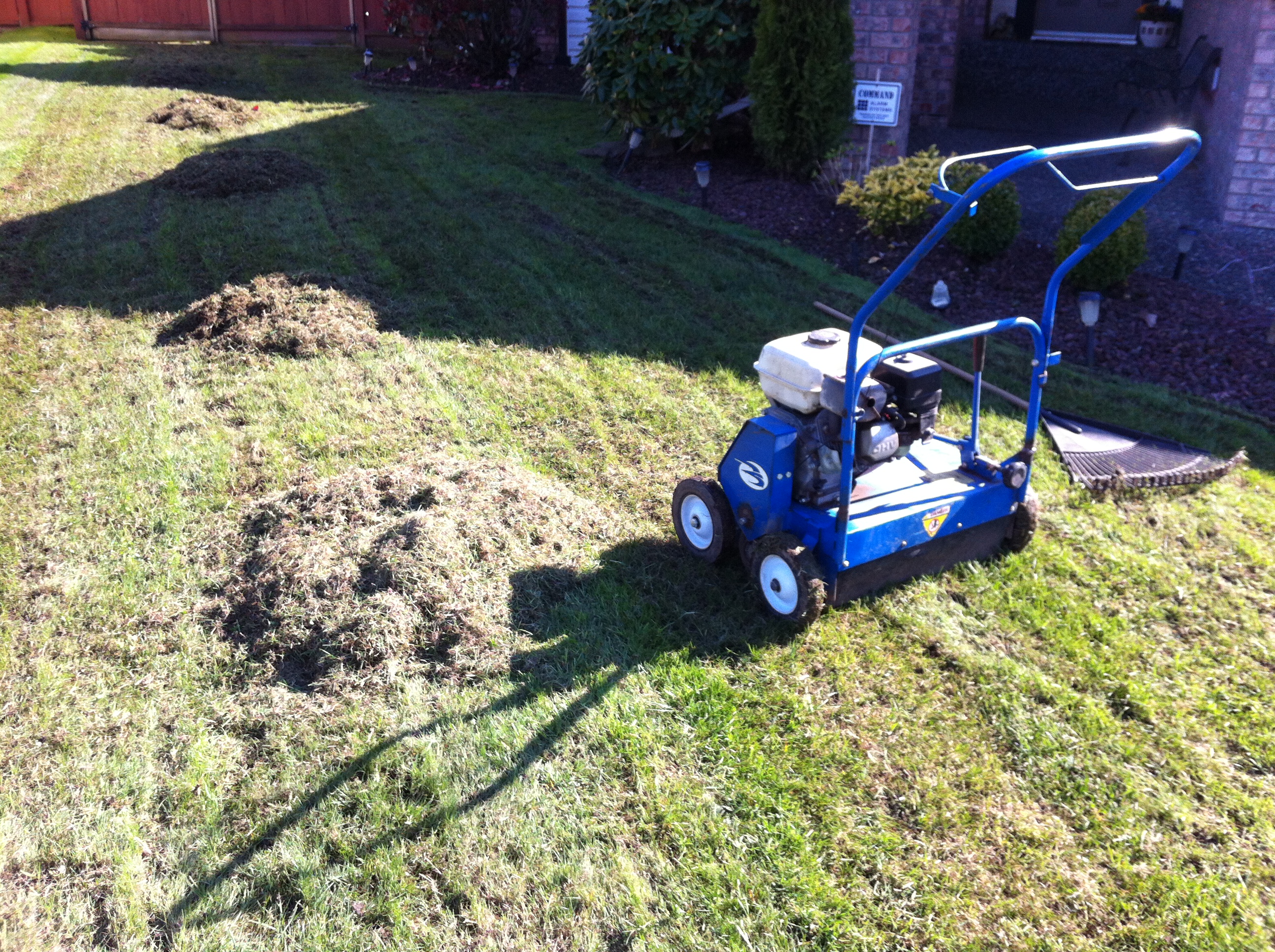Power Raking / DeThatching Cloverdale Mowing