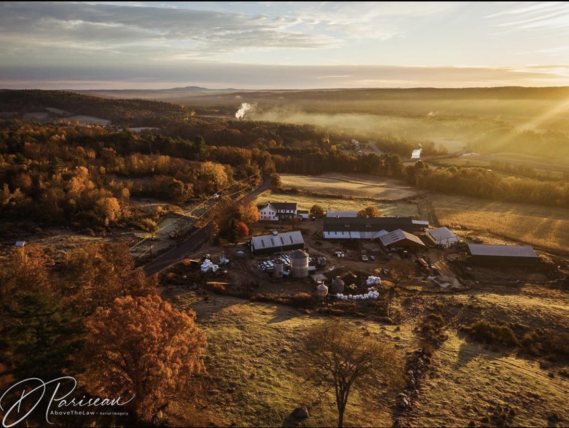 About Clover Hill Farm Clover Hill Farm