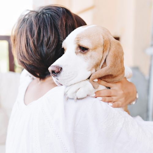 Pet InHome Euthanasia In Medina County, OH Cloverleaf Animal