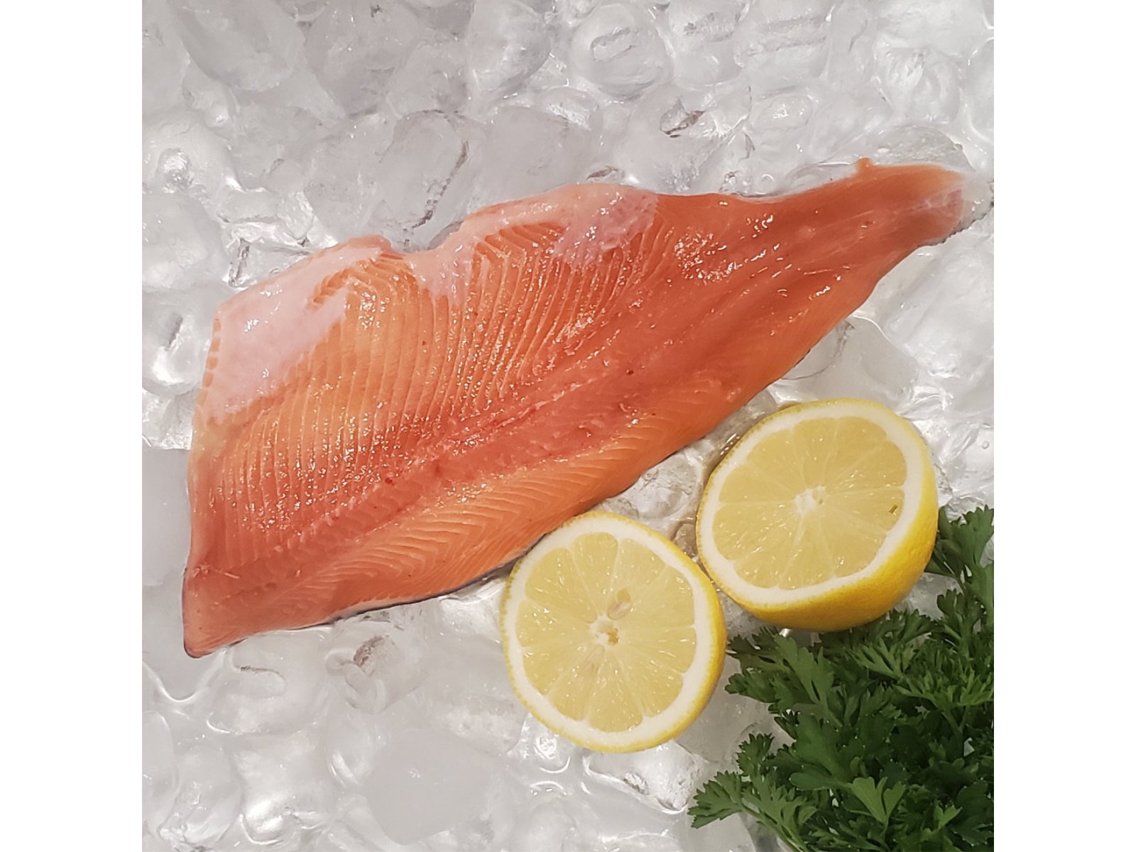 Out of the Blue // Seafood Market // Bayfield, Ontario