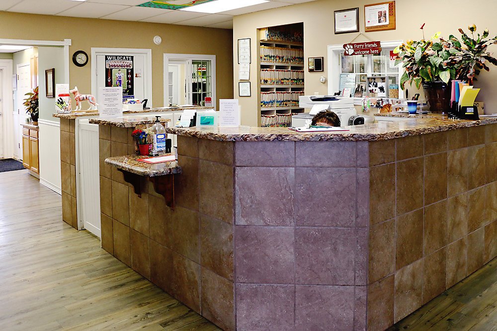 New Clients Clovis Veterinary Hospital