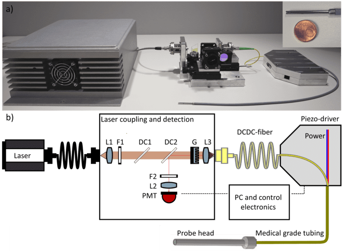 Multimodal Fiber Probe Developed for In Vivo Tissue Diagnostics Clinical Lab Products