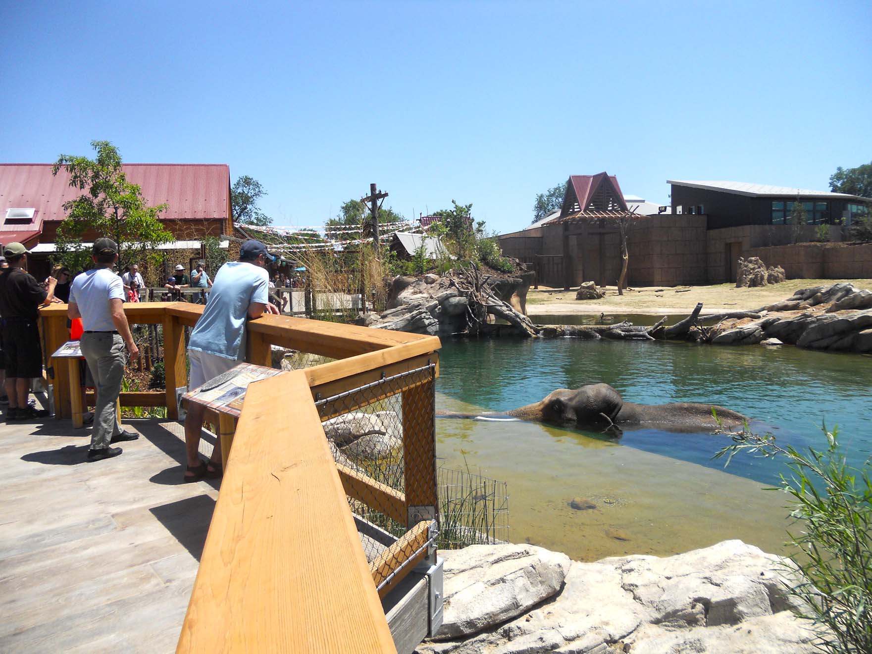 Toyota Elephant Passage CLR Design