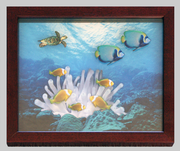 UW Images, Custom Picture Framing, Image Restoration, Medical