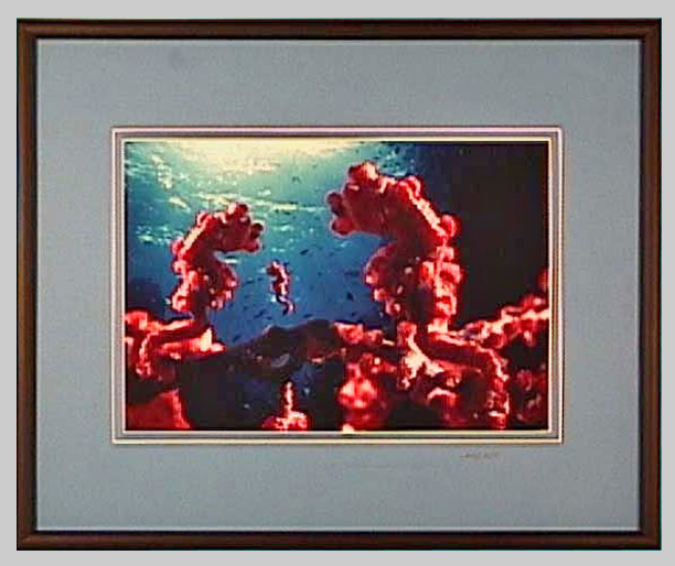 UW Images, Custom Picture Framing, Image Restoration, Medical