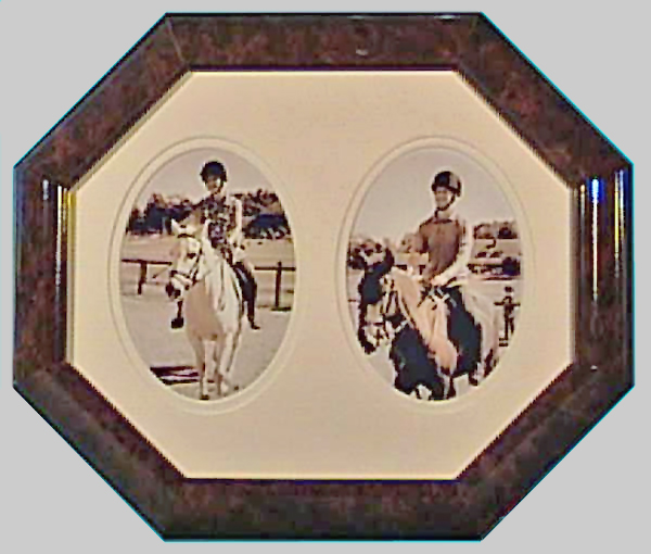 UW Images, Custom Picture Framing, Image Restoration, Medical