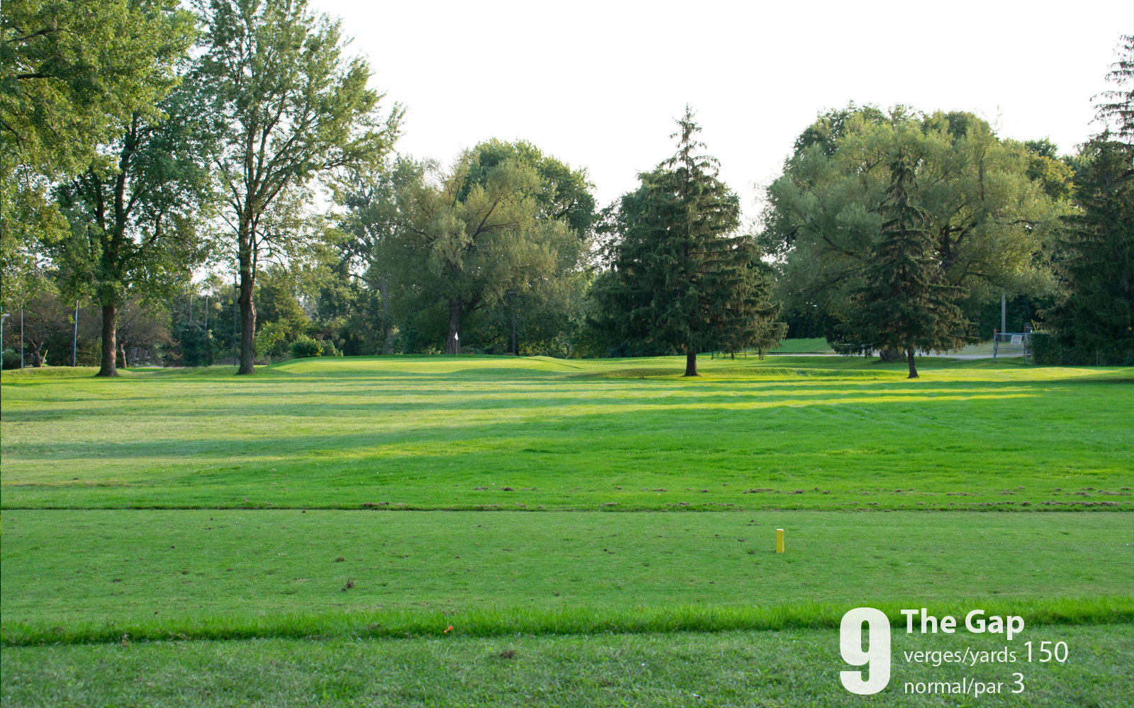 Course Club de Golf Meadowbrook