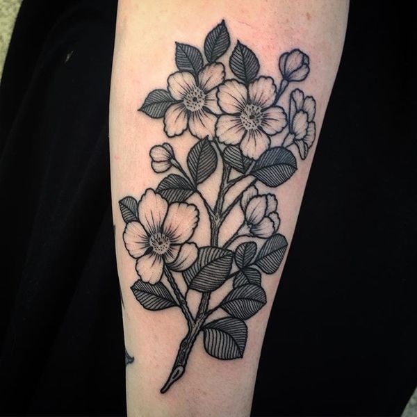 Tatouage De Fleur De Cerisier Japonais Club Tatouage