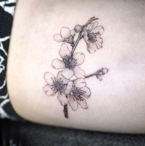 Cherry Blossom Tree Tattoo Signification Et Conceps Club Tatouage