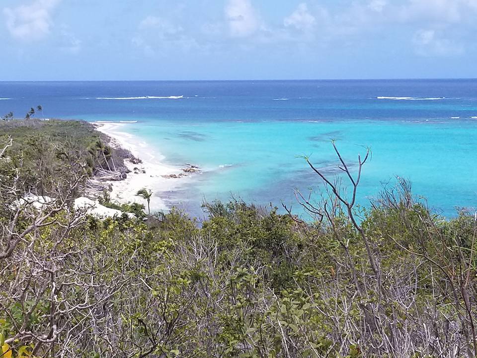 Why You Ll Love Anguilla S Beaches And Everything Else About This Island