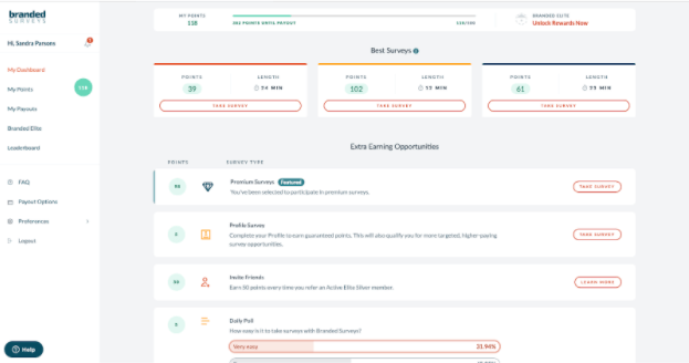 Screenshot from Branded Surveys dashboard