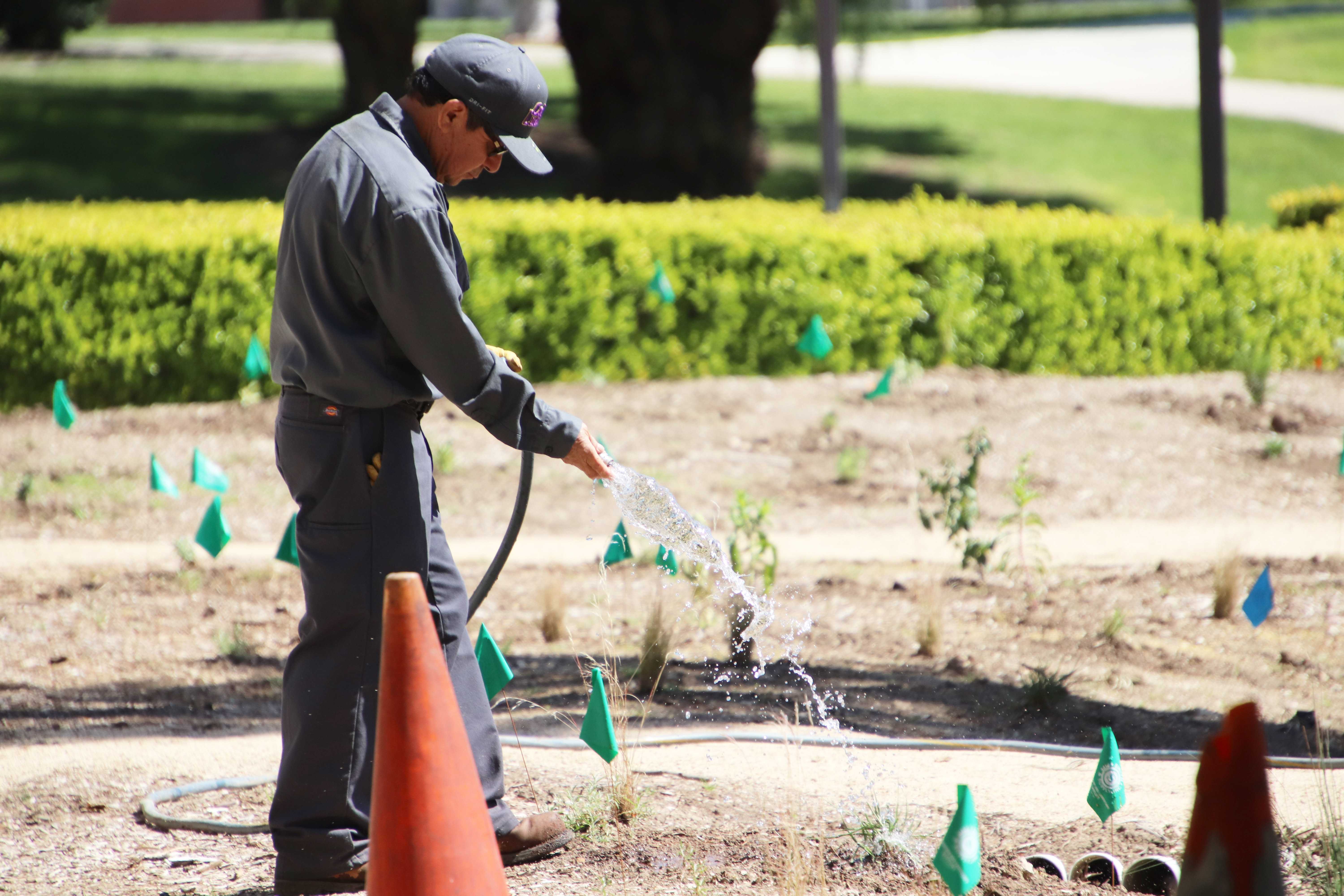 SEEd Garden Expanding Environmental Footprint With Garden Near Library