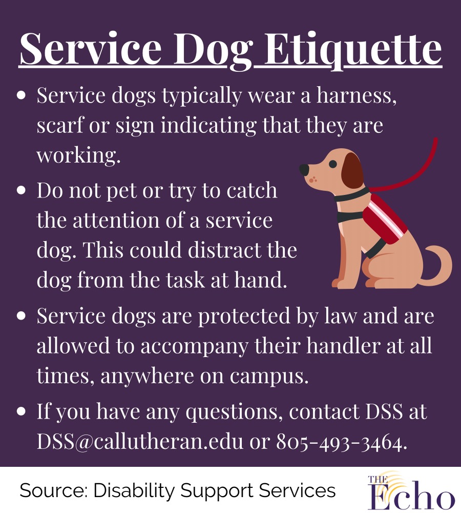 Service Animals ‘It’s super important to have an understanding that