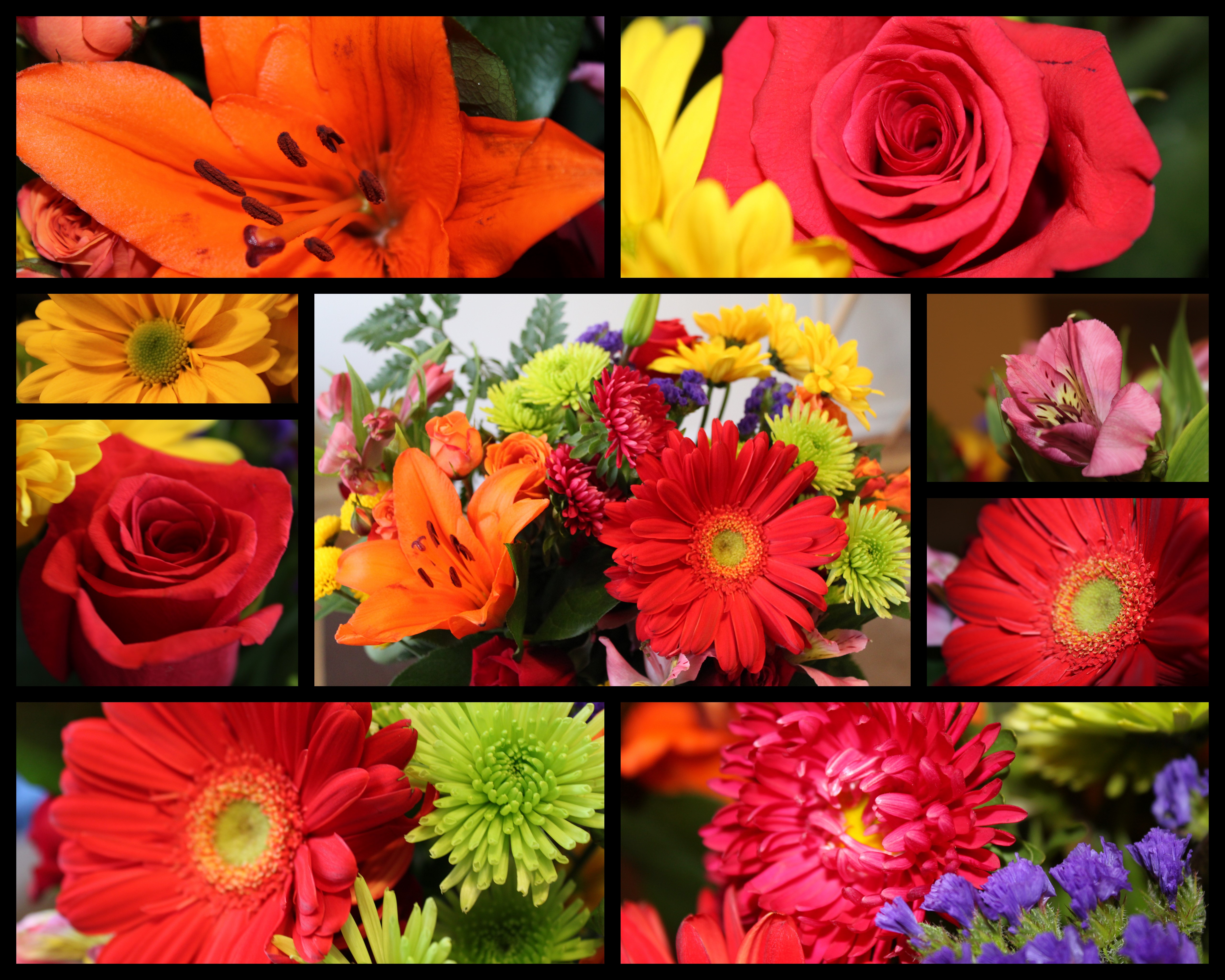 flowers Clueless Photographer