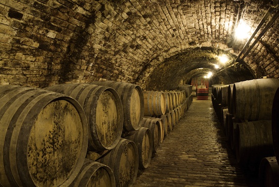 How A Grape A Wine A Simple Guide to Fermentation Cluster Crush