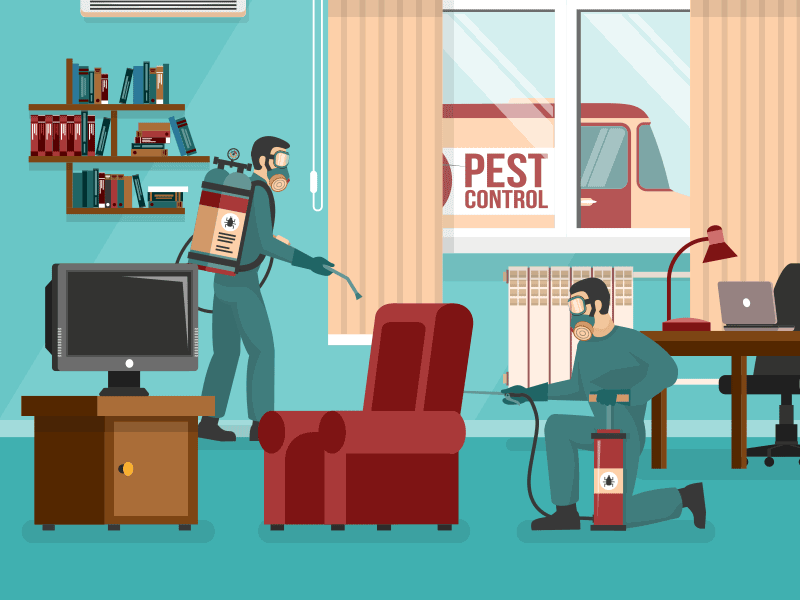 Pest Control Methods Do's and Don'ts Clutter Trucker