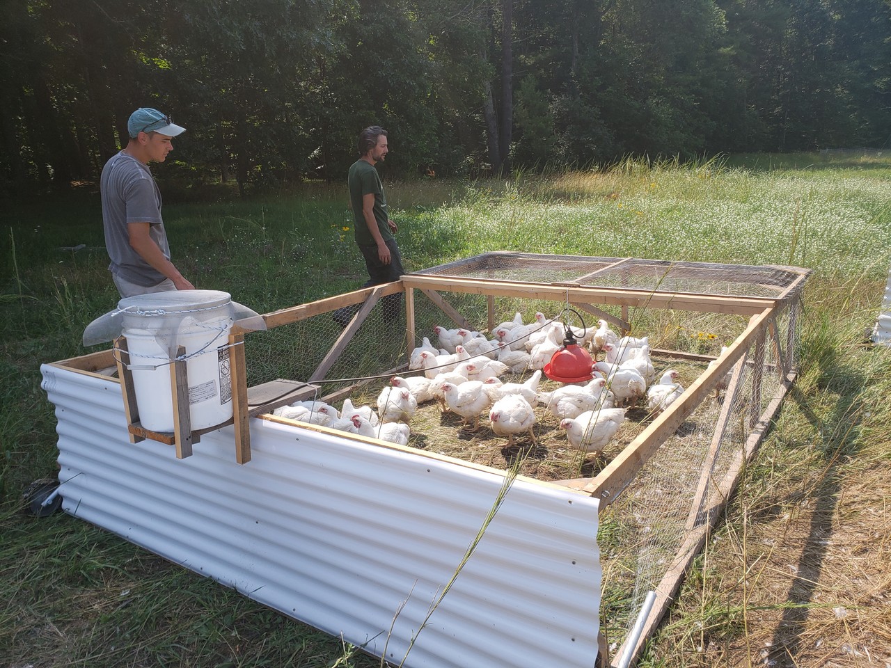 Clyde Farm Organic Meat and Flowers on New Hampshire's Seacoast