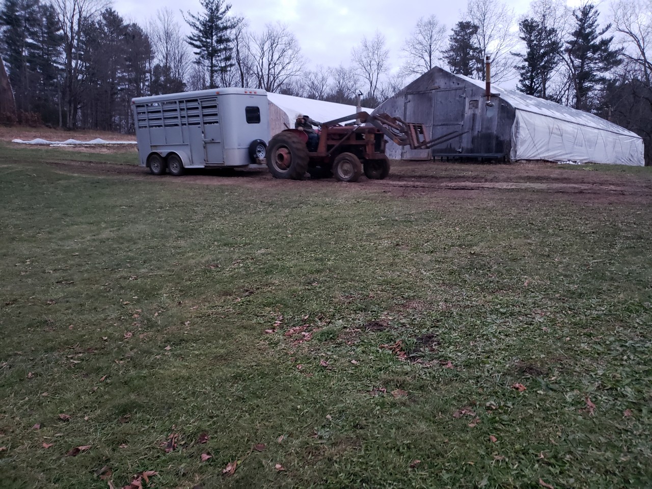 Clyde Farm Organic Meat and Flowers on New Hampshire's Seacoast