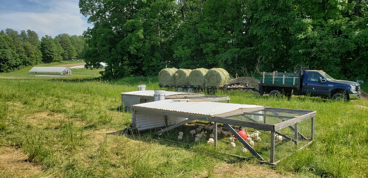 Clyde Farm Organic Meat and Flowers on New Hampshire's Seacoast
