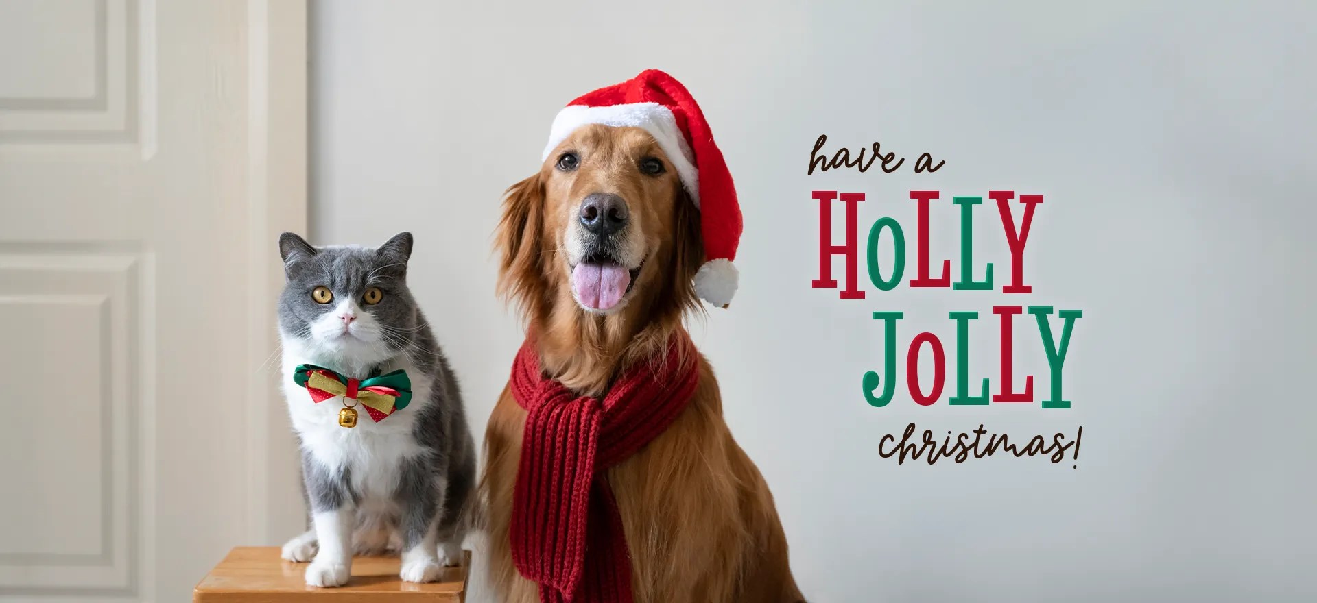 Vet Clinic in Mattoon & Coles County, IL Animal Clinic