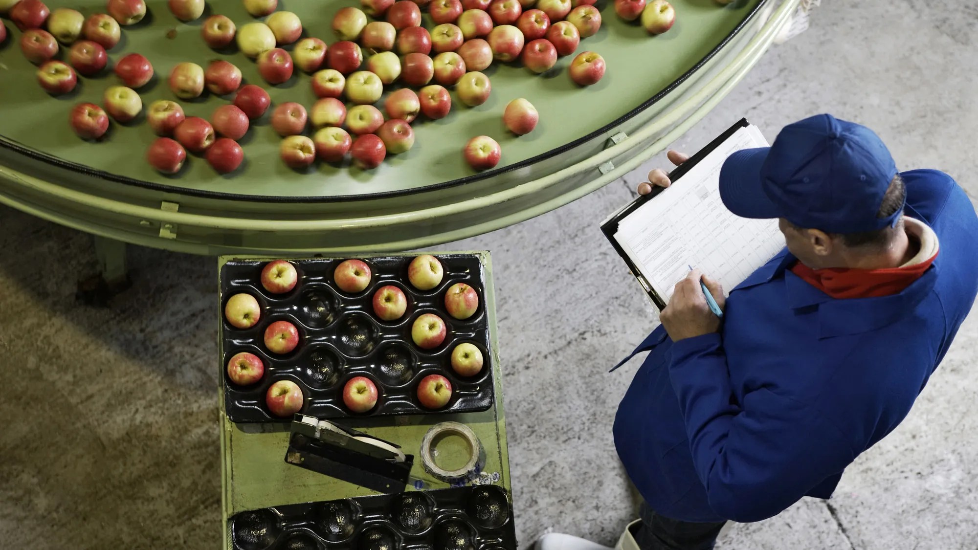 Reducing Food Processing Workplace Hazards HUB International