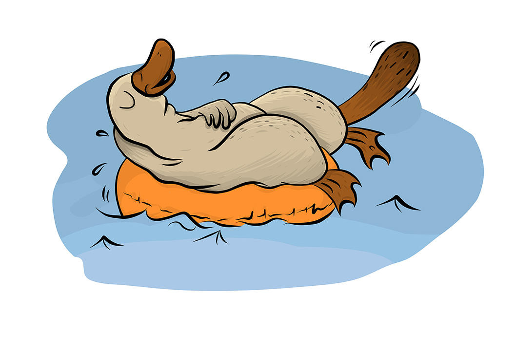 City of Hobart Christmas Graphic design, logos, business cards