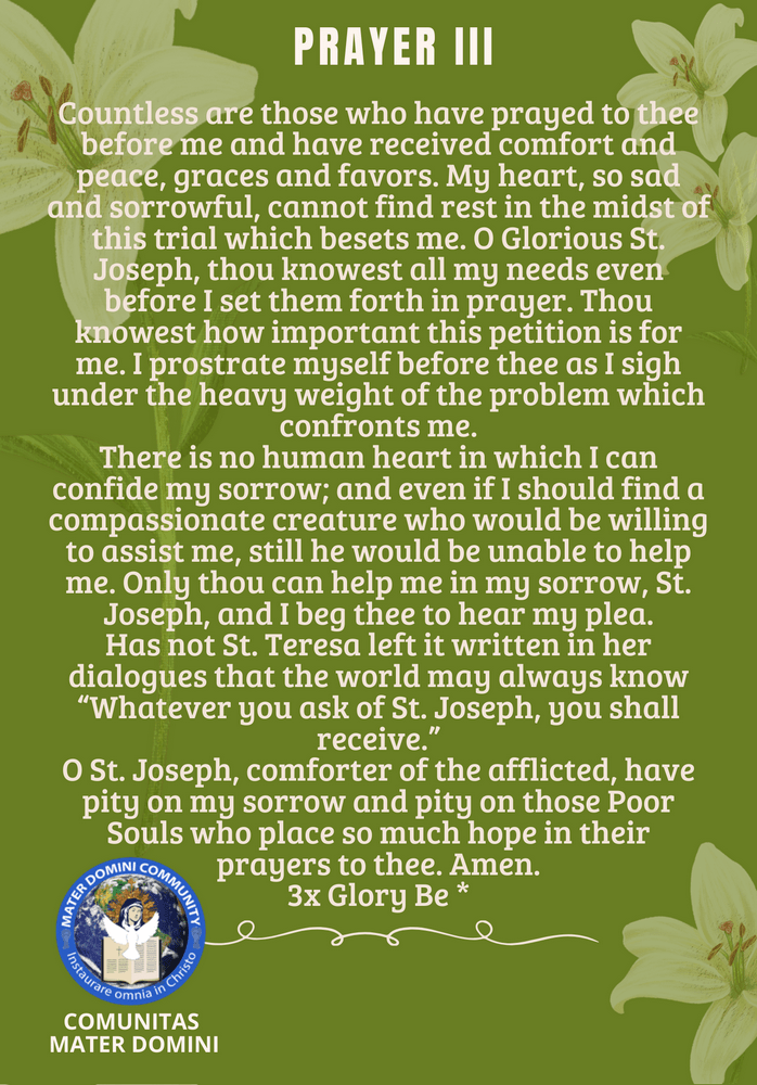 The Holy Cloak of Saint Joseph Novena CMD ORG