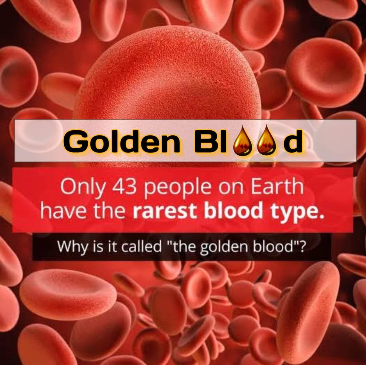 Man with the “Golden Blood” Platform CME