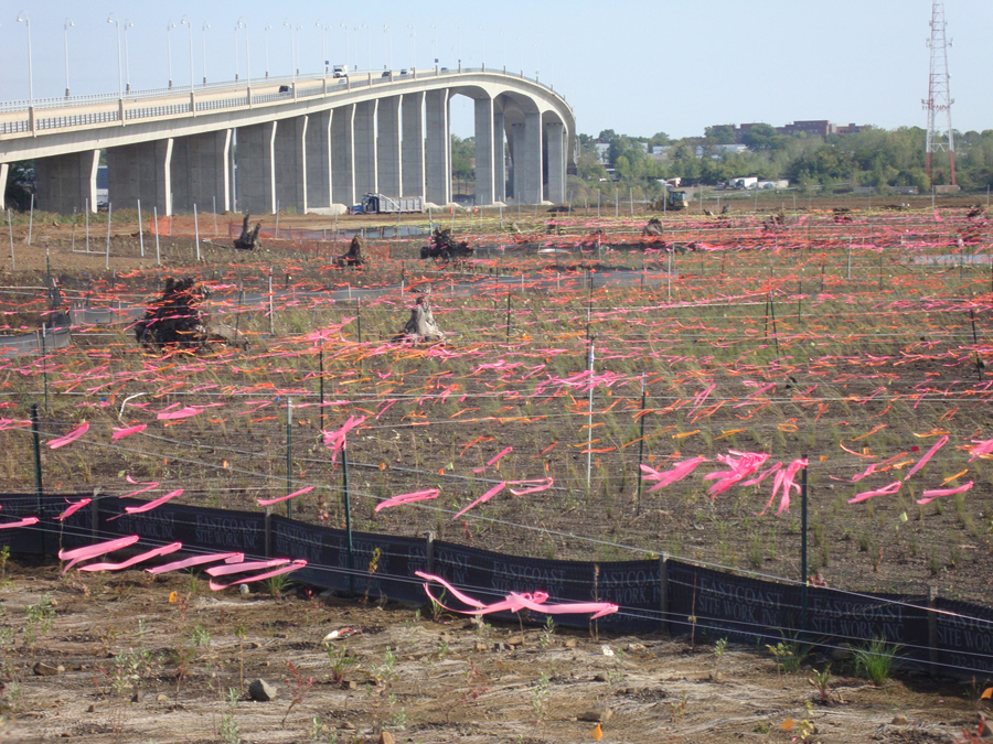 Waterfront Redevelopment Management Sayreville NL Awards CME