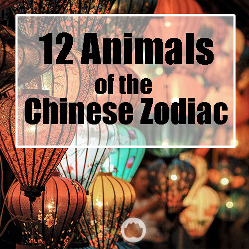 12 ANIMALS OF THE CHINESE ZODIAC BOOK PRO « Chinese Medicine