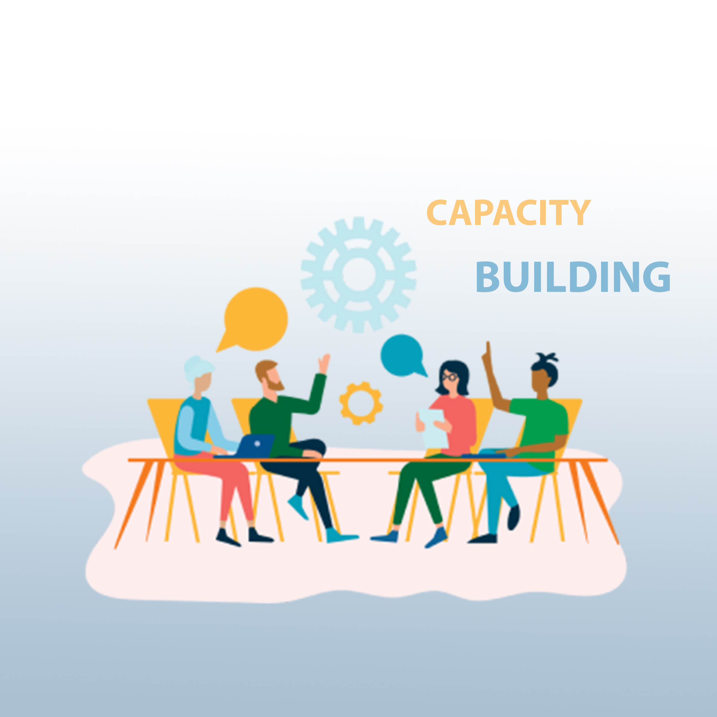 Kickstart of carbon markets capacity building programme for public and