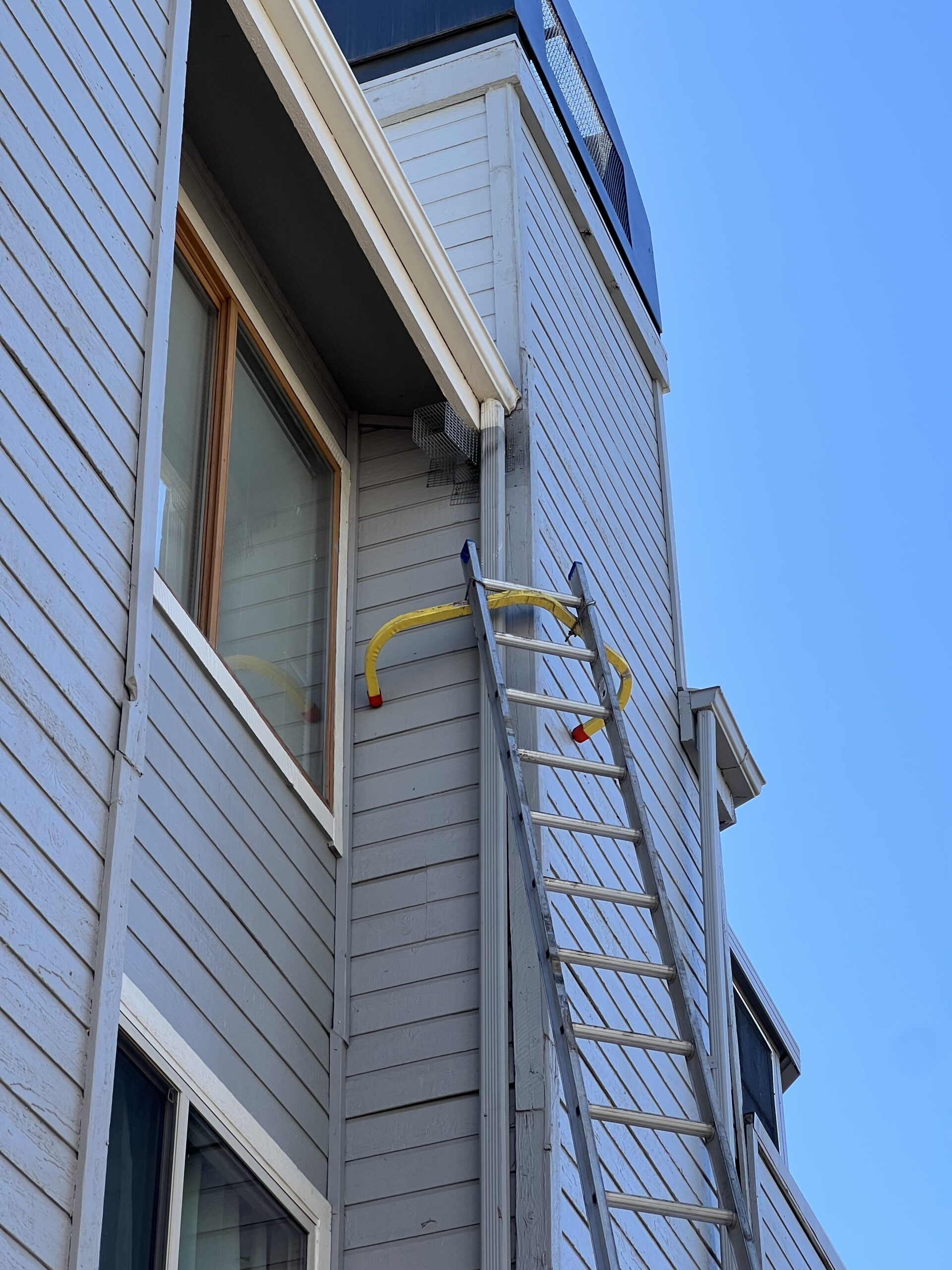 Pest Control Photo Gallery Pest Control Colorado Springs, Exterminator, Animal Control