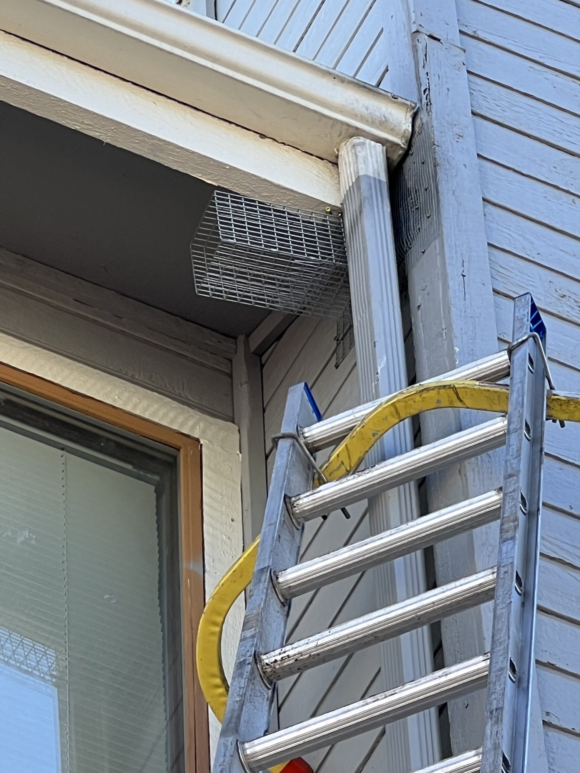 Pest Control Photo Gallery Pest Control Colorado Springs