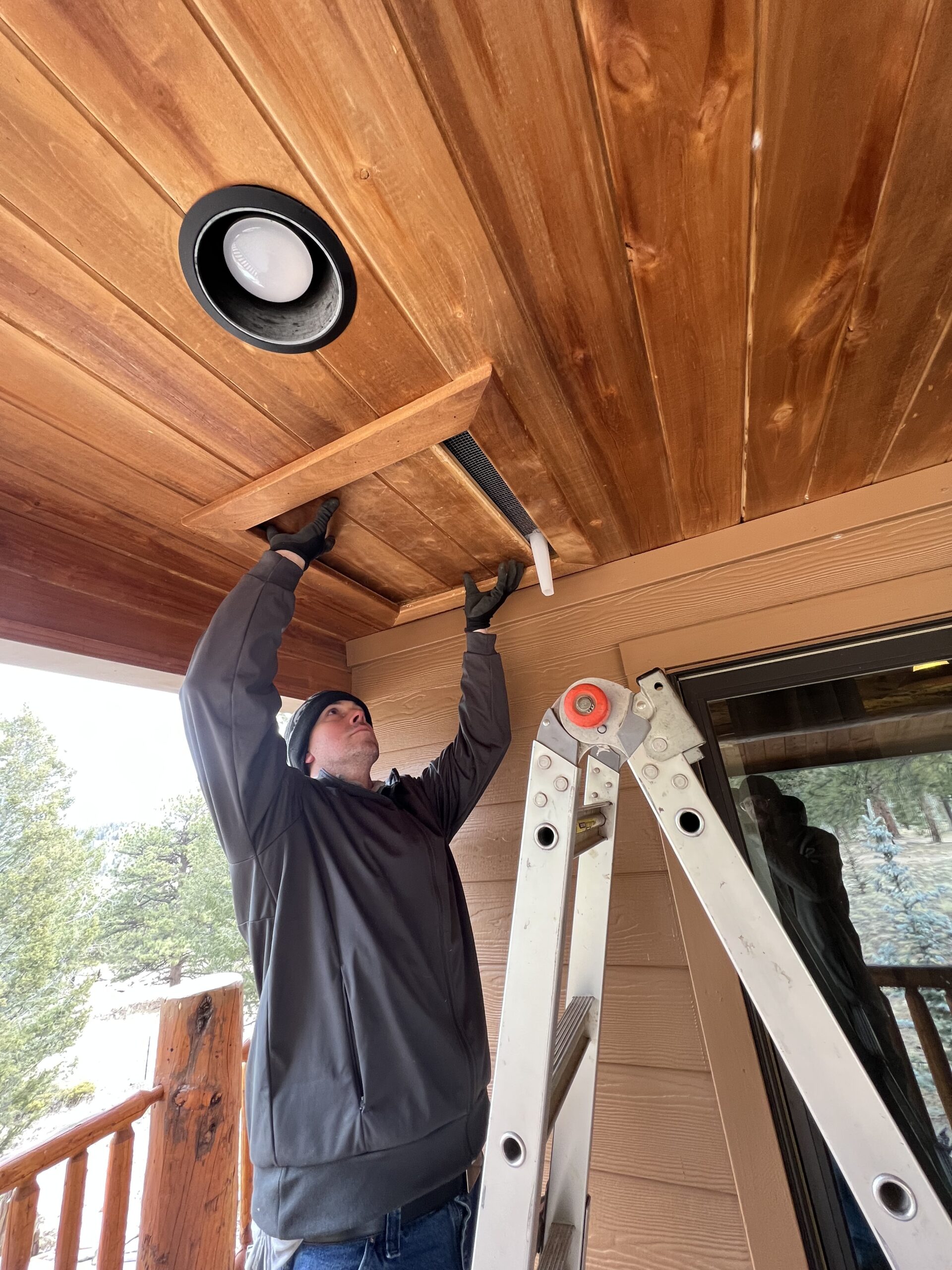 Pest Control Photo Gallery Pest Control Colorado Springs, Exterminator, Animal Control