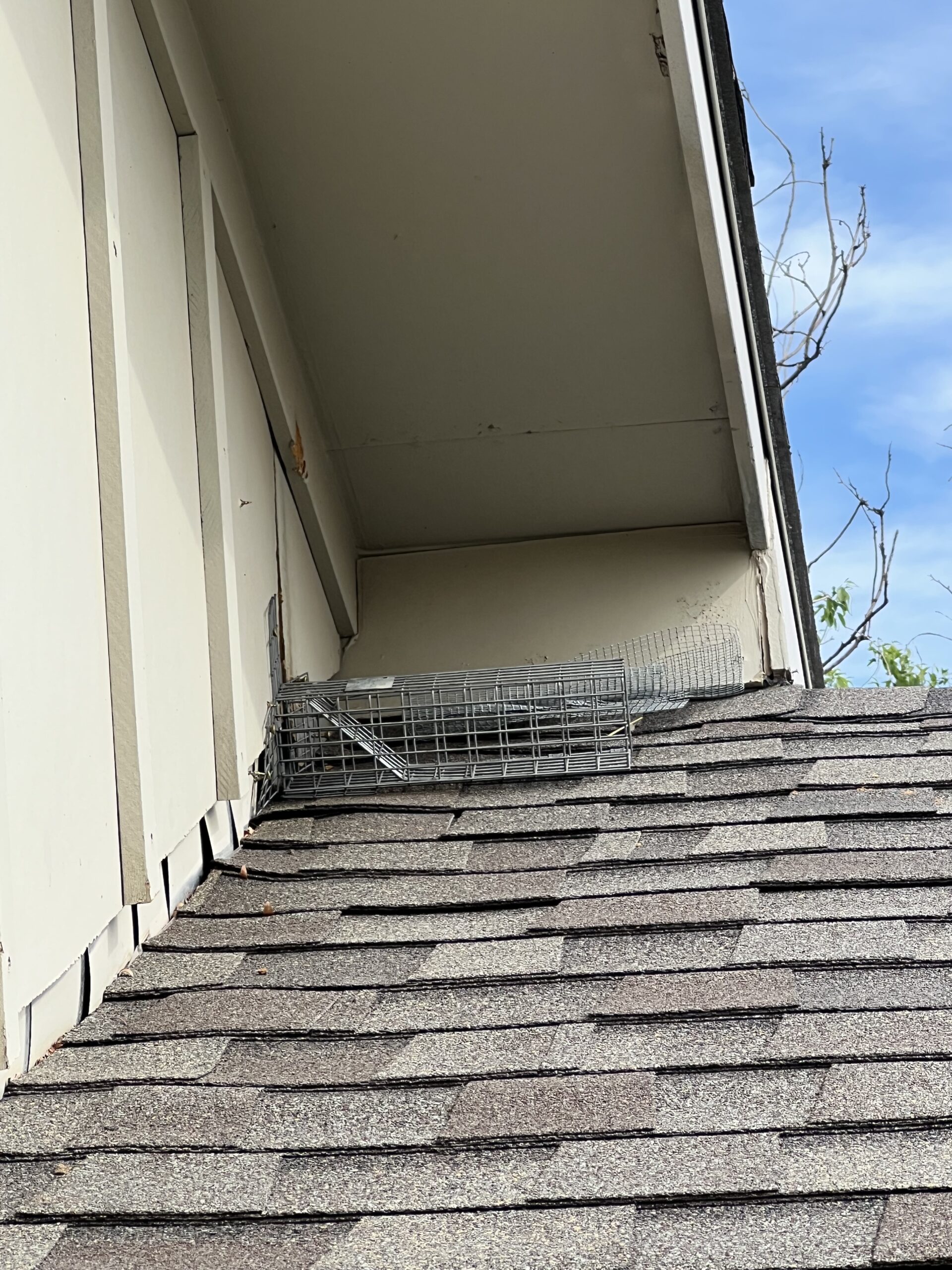 Pest Control Photo Gallery Pest Control Colorado Springs, Exterminator, Animal Control