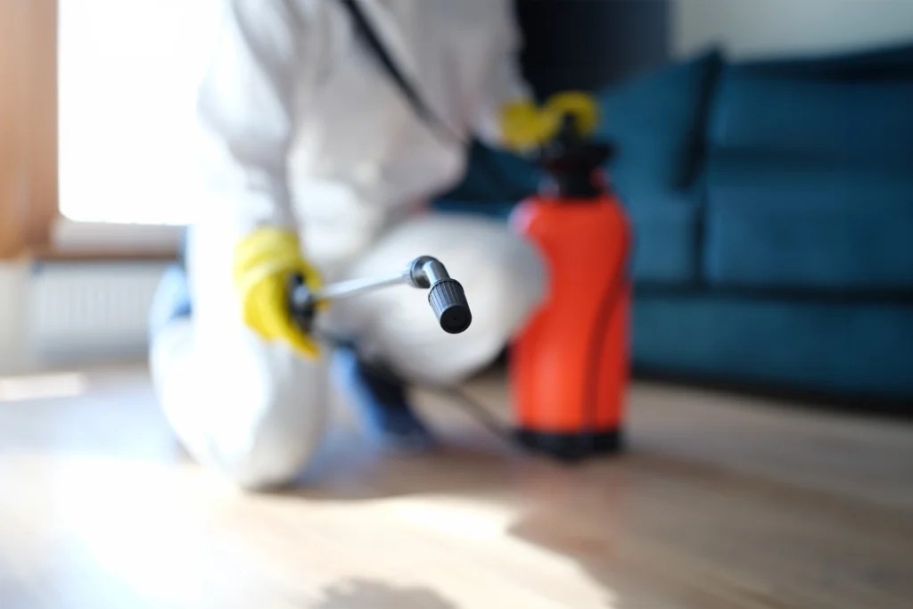 Learning Center Pest Control Colorado Springs, Exterminator, Animal Control