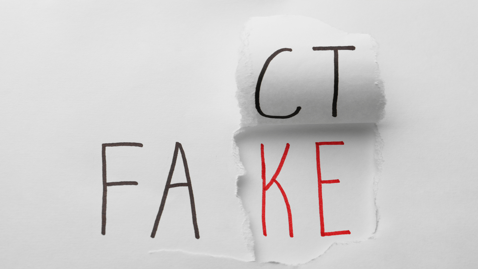 Securing the right to quality information. Securing factchecking