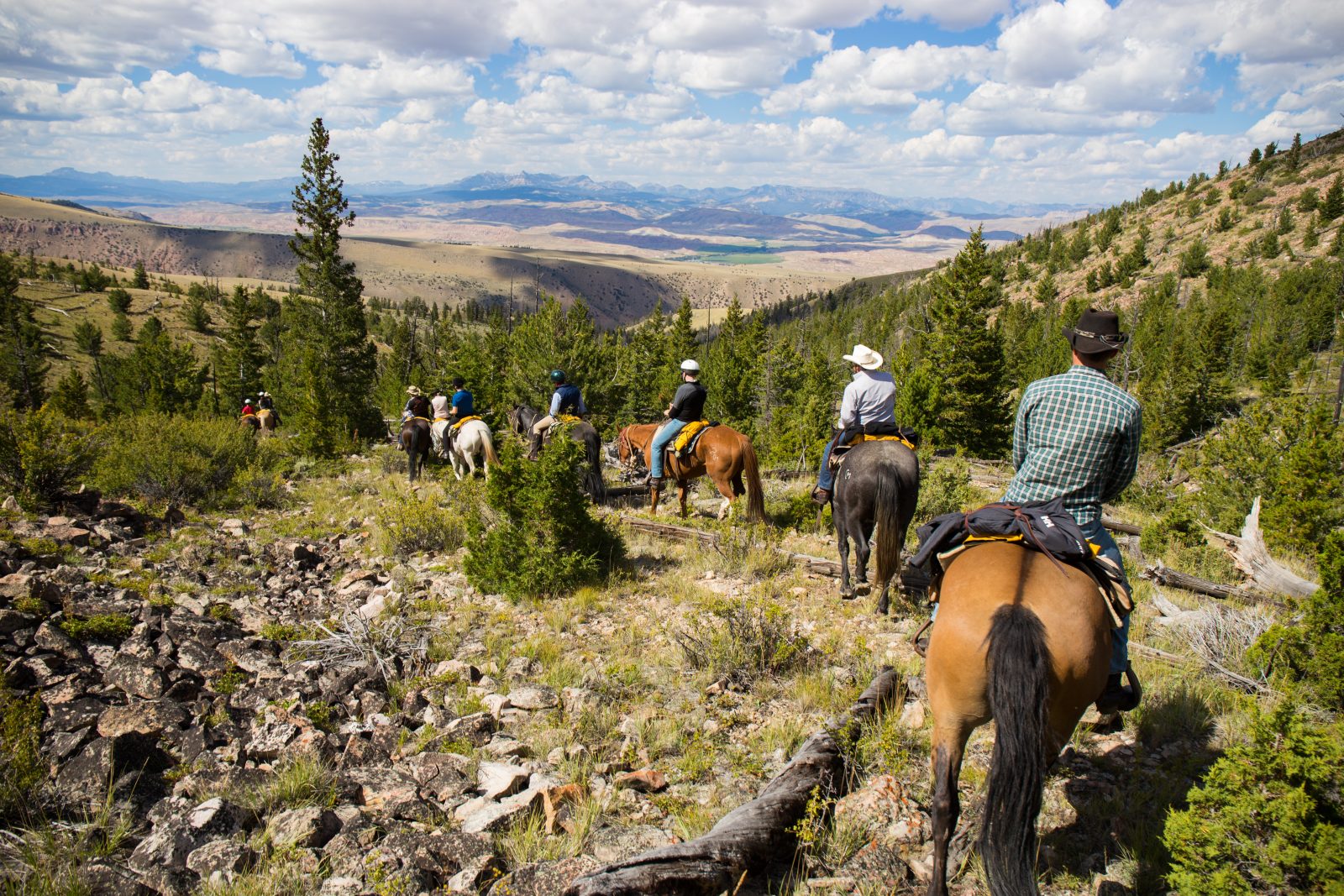 Horseback Riding Jackson Hole Activities CM Ranch