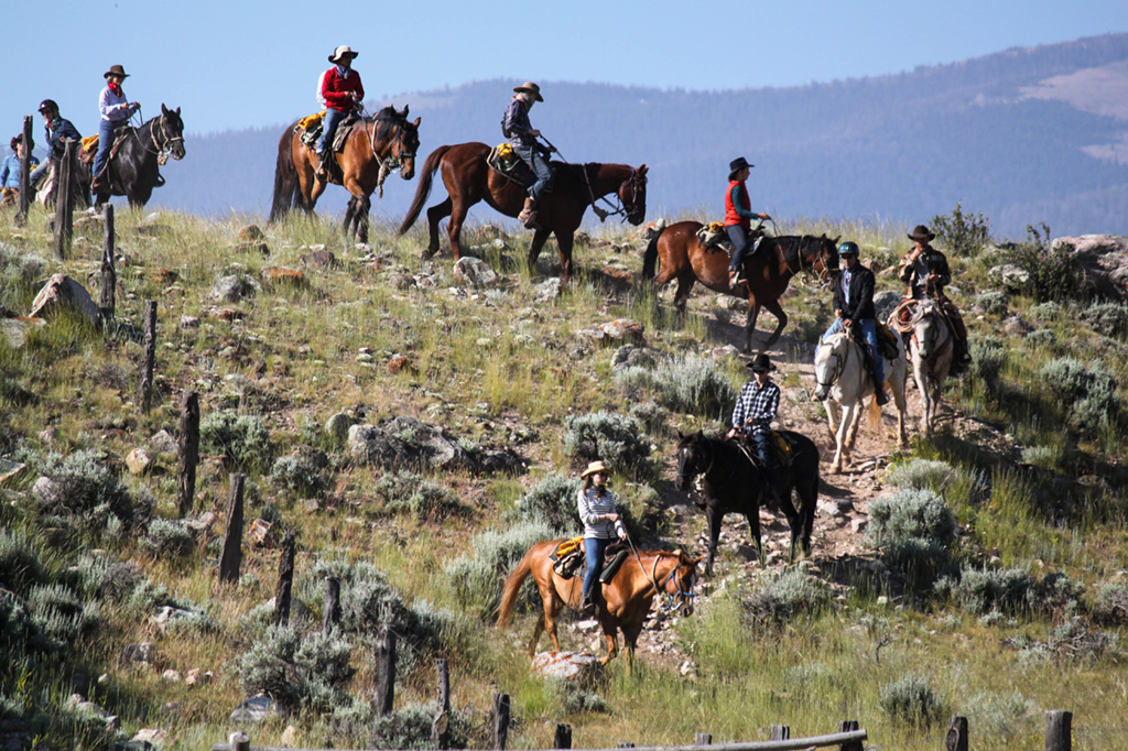 horse4 CM Ranch Dubois, Wyoming