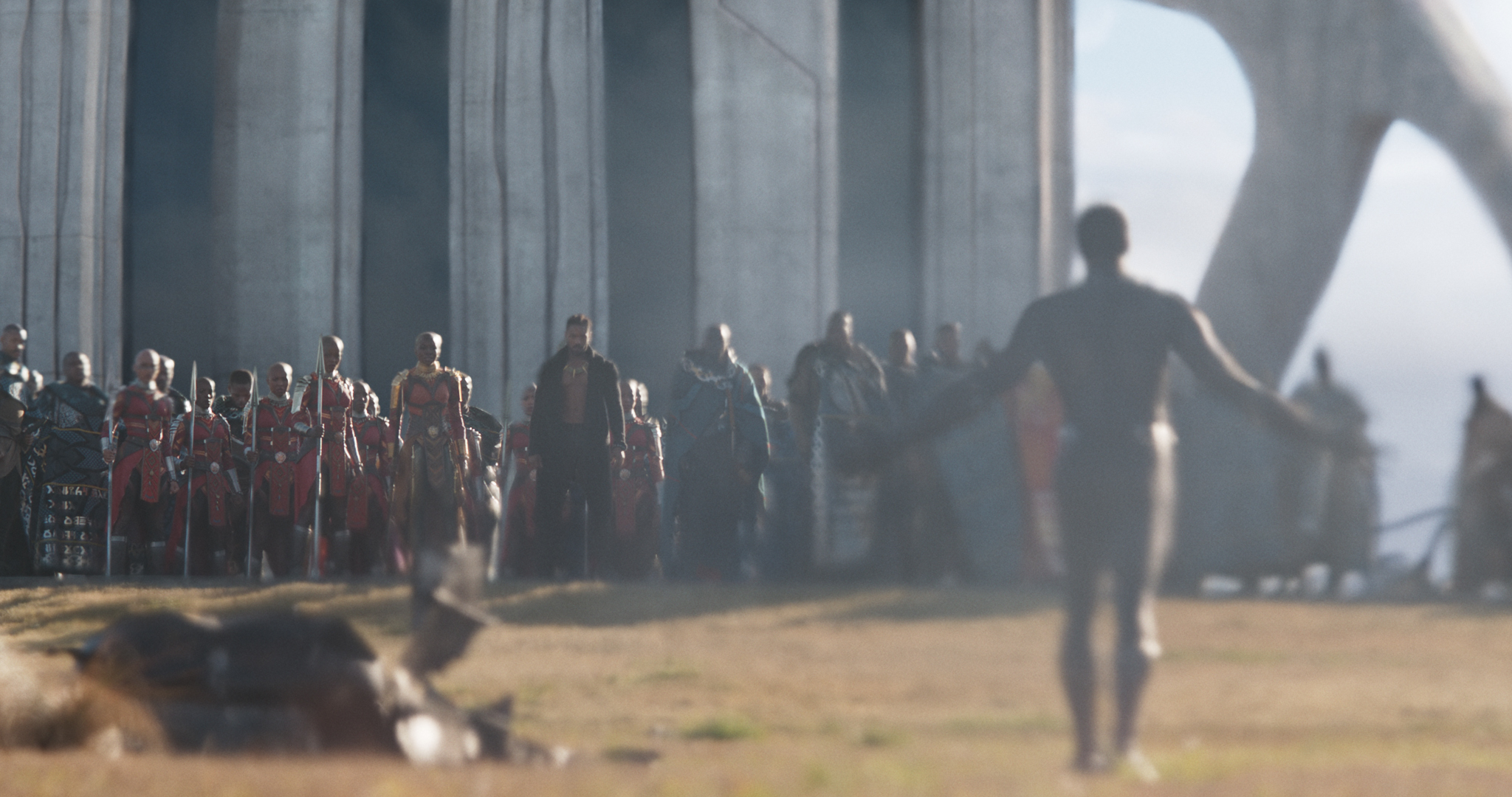 Black Panther Warrior King The American Society of Cinematographers