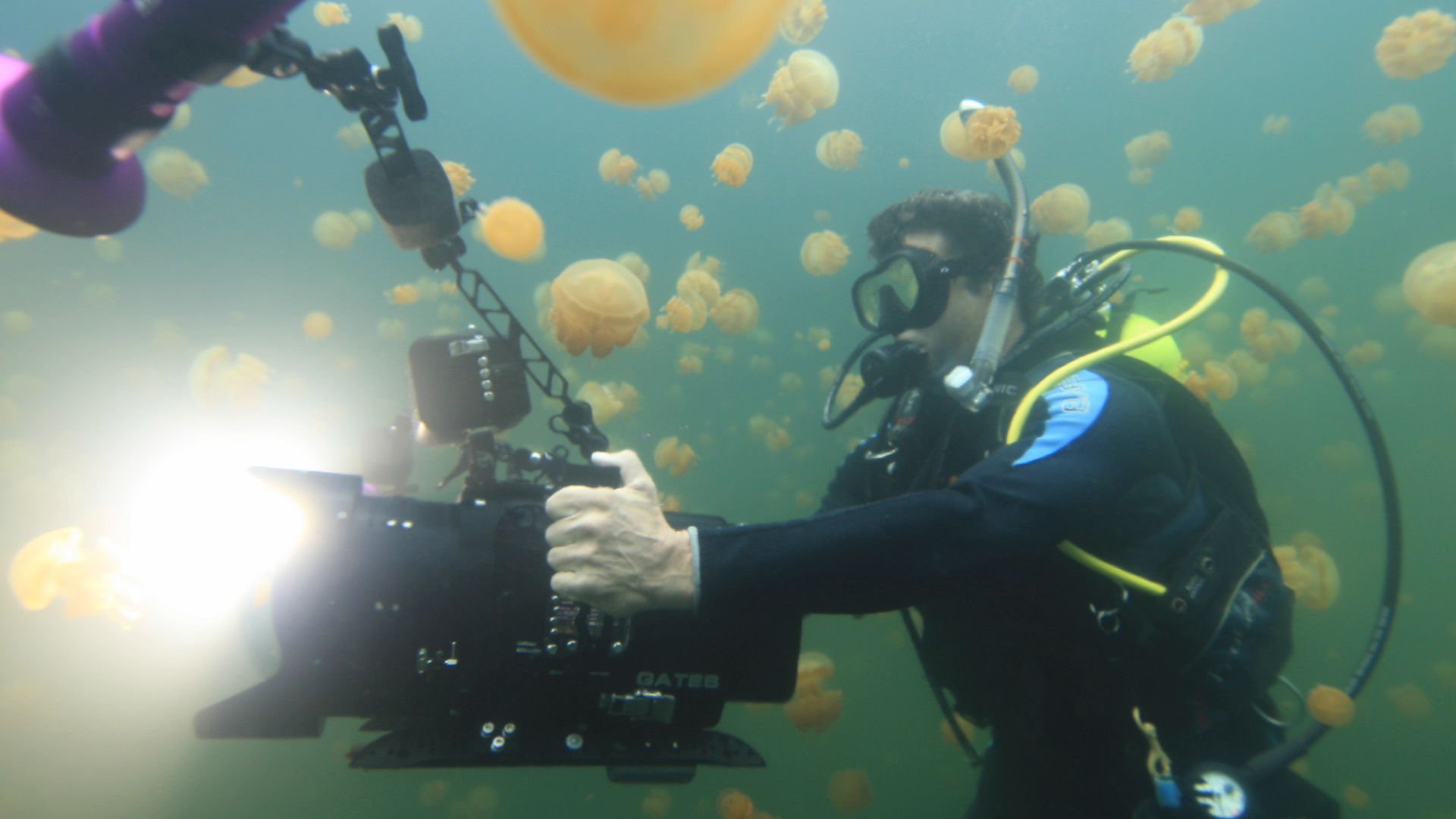 Inside OceanX Part II Underwater Filming and Lighting The American